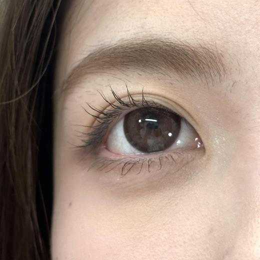 con4u日抛 元气芙芙 巧克力色 14.5mm 着色14.2 超大巧片！日抛无售后！ 商品图6