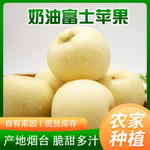 【新鲜上架，山东烟台黄金奶油富士奶油苹果，口感细腻，冰糖心爆汁，甜而不腻】新鲜水果山东烟台黄金奶油富士 奶油苹果当季冰糖心爆汁水果-QQ 商品图4