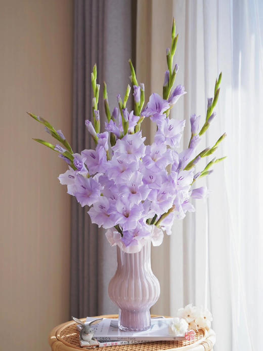 【AB级香芋紫剑兰.第二件减10元】5支/份  长约65-70cm 商品图7