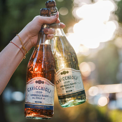 【超值2瓶装】】意大利之花-意大利原装进口卡维留里蓝沐斯起泡酒 750ml*2瓶 商品图1