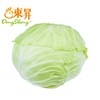 东升农场 有机水果甘蓝 卷心包菜球甘蓝圆洋白菜 广州供港蔬菜 400g 商品缩略图0