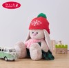 BUDIBASA巴迪宝思ZaikaMi兔+红色帽子和格子裙，23cm 商品缩略图0