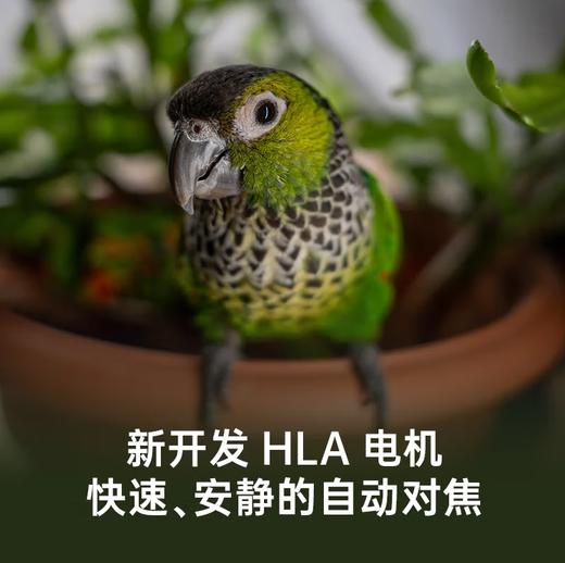 狼族优选丨适马24-70mm F2.8 DG DN II Art全画幅无反标准变焦镜头 索尼E卡口/L卡口 商品图1