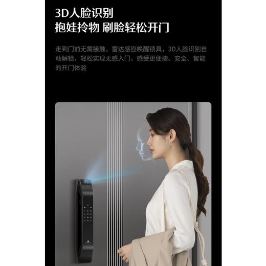 LR【德施曼Q5Fpro人脸识别锁大屏指纹锁家用密码锁】DSM 商品图1