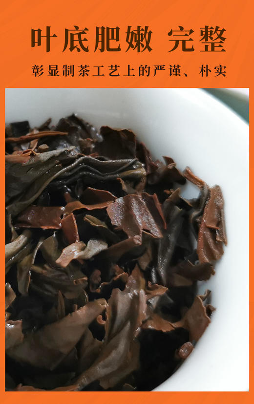 武夷妃子笑红茶 10泡/50克 武夷山正岩 自然保护区内产品 甜花香浓郁 熟果韵饱满 商品图4