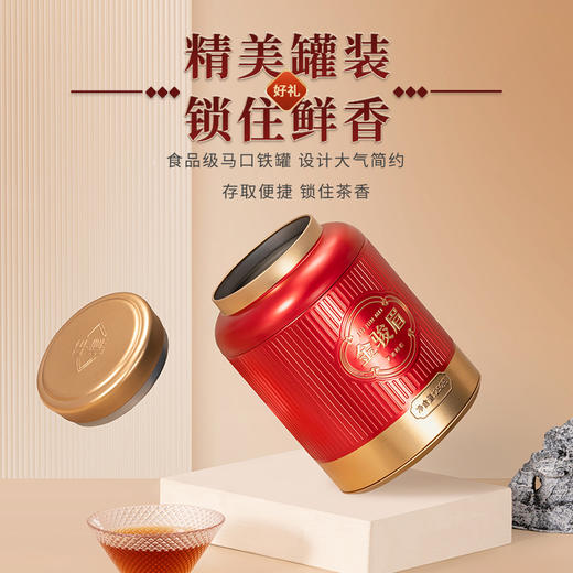 茶叶 金骏眉 武夷红茶 茶叶罐装 J4060-3 茶饮 华源 500g 商品图4