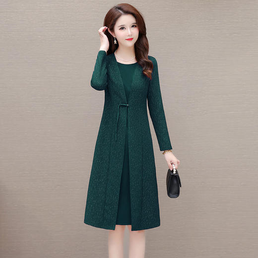 QYM 1124X16-Y中式连衣裙时尚假两件中长裙宽松休闲裙 商品图1