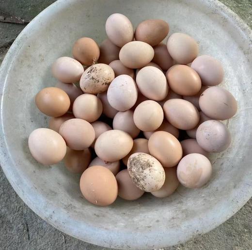 巫溪本地农家粮食鸡蛋 散养土鸡蛋 新鲜供应 商品图1