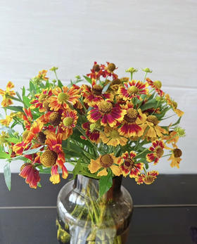 【油画风】油画小菊  若干枝/扎