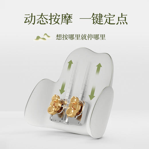 【小家电】Repor锐珀尔腰背靠垫 P50 HF 商品图1