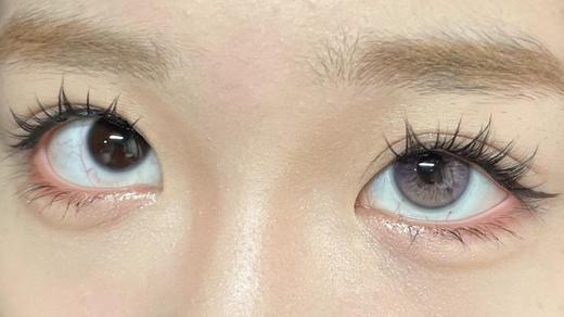 Sugarplum糖豆 半年抛美瞳 普罗旺斯 14.5mm 商品图0