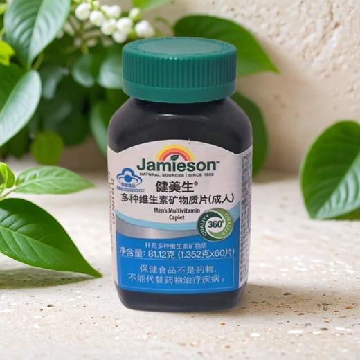健美生多种维生素矿物质片（成人）81.12g/瓶 商品图0