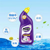 妙管家香氛洁厕液【600g】 商品缩略图1