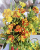 【油画风】油画小菊  若干枝/扎 商品缩略图4