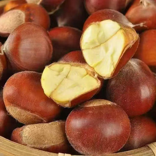绘甜迁西板栗 商品图3