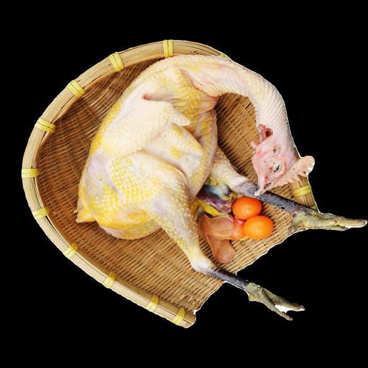 皖南母鸡2-2.5斤/只 商品图0