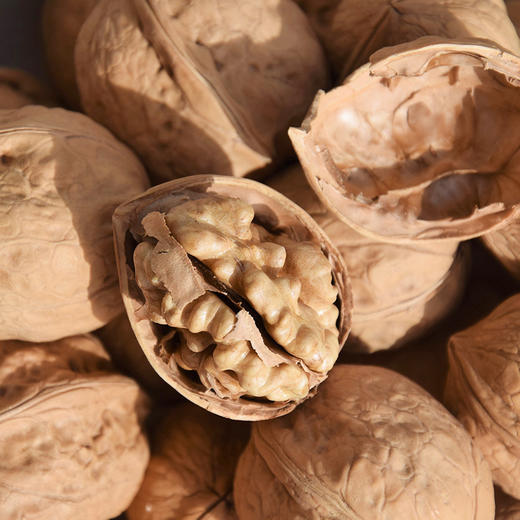 新疆185纸皮核桃 干果 坚果 商品图3