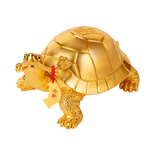 如意金龟 商品图0
