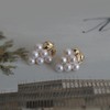 7DAYS美丽珍珠葡萄耳钉 商品缩略图2