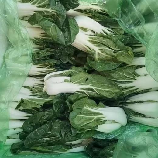 【HFS】农家奶白菜 350g/份 太平海农业 商品图2
