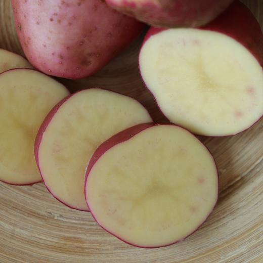 生态多色高原土豆（基地直发-韵达包邮） | 多种规格，来自云南香格里拉，生产者：李忠青【合作生产，公平贸易】 商品图4