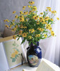 【油画风】油画小菊  若干枝/扎 商品缩略图2