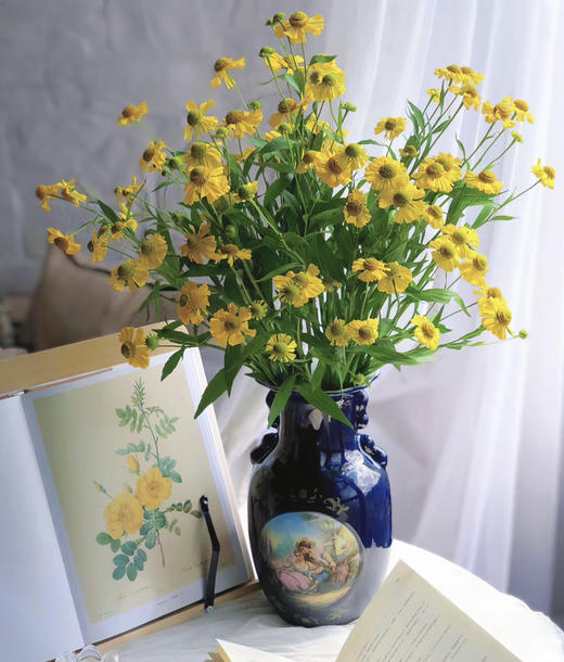 【油画风】油画小菊  若干枝/扎 商品图2