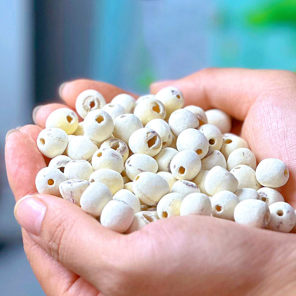 『洪湖老莲子』清香饱满，粉糯绵密，无硫熏、不漂白！自然成熟，物理脱壳，免浸泡、易炖煮！