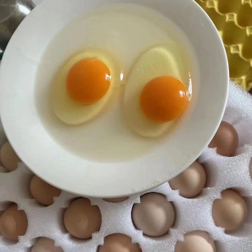 巫溪本地农家粮食鸡蛋 散养土鸡蛋 新鲜供应 商品图9