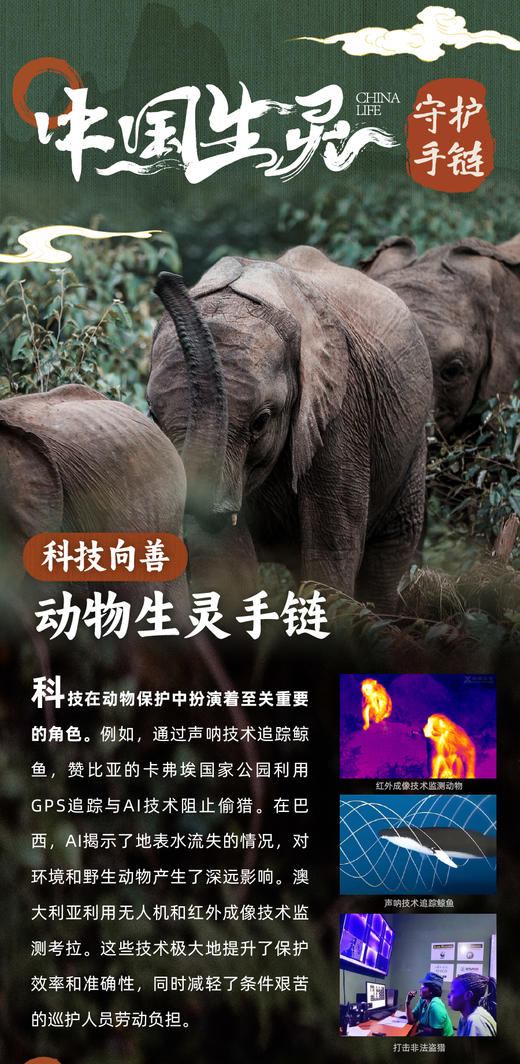 补差价专用链接 商品图0