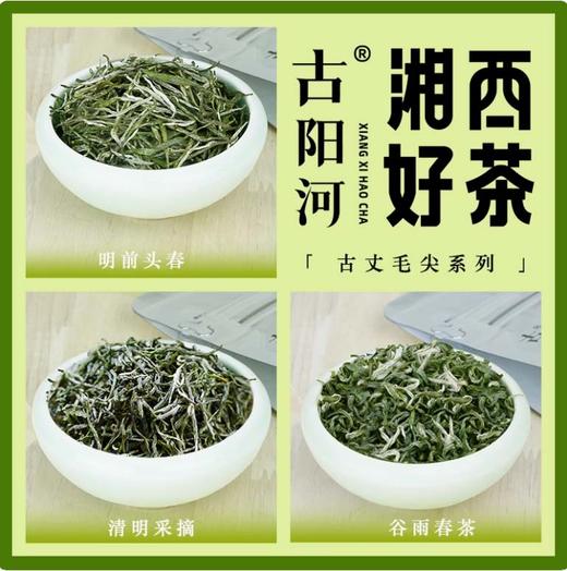 湖南湘西 湘西好茶系列 古丈毛尖绿茶 （三款可选）湖南老字号品牌 商品图1
