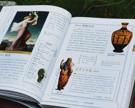 《见证历史：从远古到现代》，大16开，精装， [美]斯蒂芬·G.希斯洛普 / 鲍勃·萨默维尔 / 约翰·米利肯·汤普森著，中国大百科出版社2016年一版一印，467页，定价168，售价50元。 商品图7