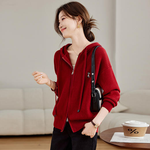 CC-SD2878连帽卫衣针织开衫女春秋2024新款慵懒风宽松好看羊毛衣外套上衣 商品图0