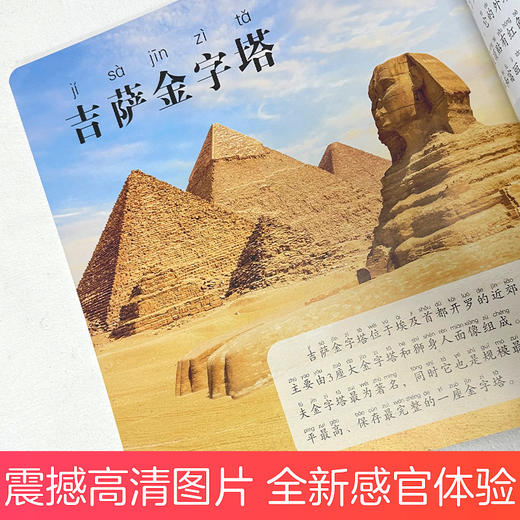 爱德少儿 童眼观世界 全14册0-3-6-9岁儿童看图识物科普认知绘本彩图注音版认国家图标车辆动物恐龙鸟类昆虫儿童益智幼儿识书生活常识标志 商品图7