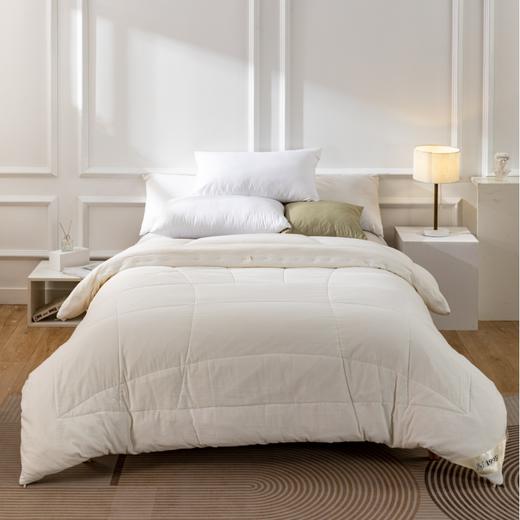 【远梦】澳洲羊毛大豆双胎被 商品图0