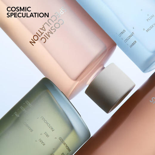 COSMIC SPECULATION宇宙的猜想瞬息四季·藤条扩香摆件 商品图3