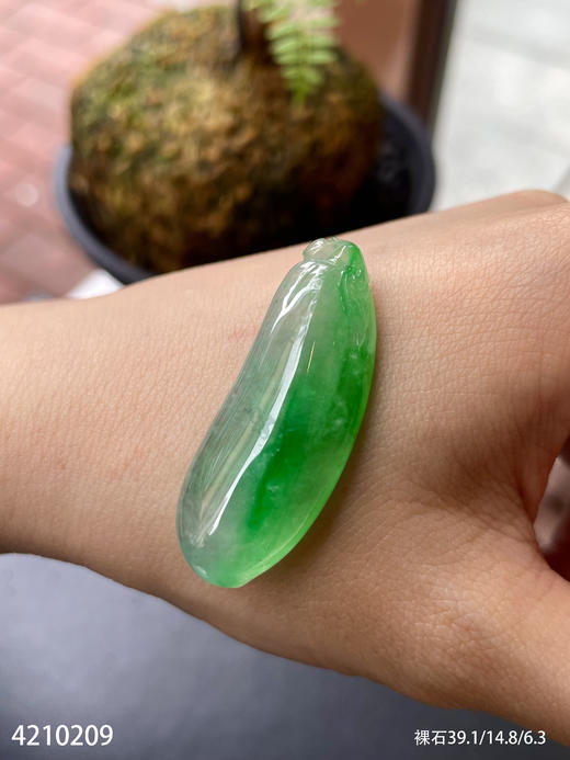 4210209，福瓜裸石。具体价格微信咨询 商品图3