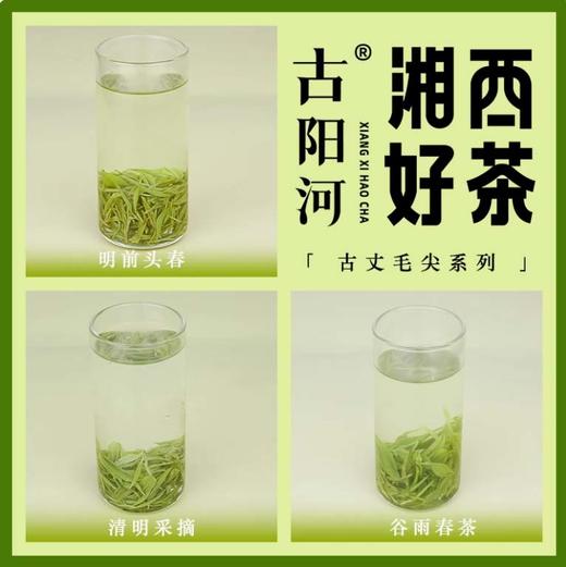 湖南湘西 湘西好茶系列 古丈毛尖绿茶 （三款可选）湖南老字号品牌 商品图2