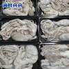 中号章鱼 商品缩略图3