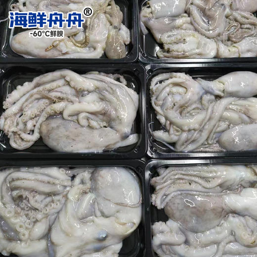 中号章鱼 商品图3