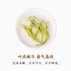 湖南湘西 古丈毛尖绿茶 湘西浓香型高山云雾 口粮茶 250g 罐装散装茶叶 商品缩略图3