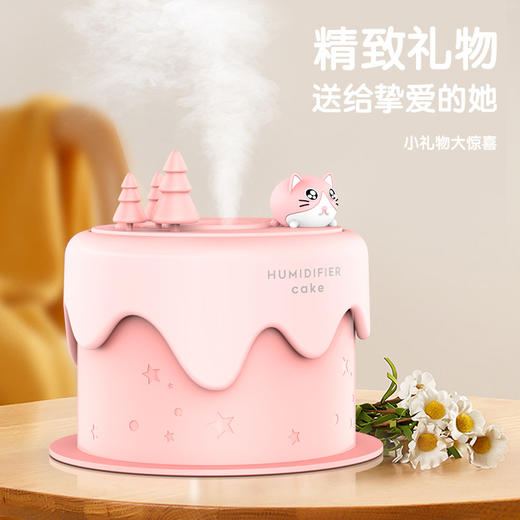 【秋冬新款萌宠迷你加湿器】喷雾补水仪桌面卧室夜灯 usb小型加湿器 商品图9