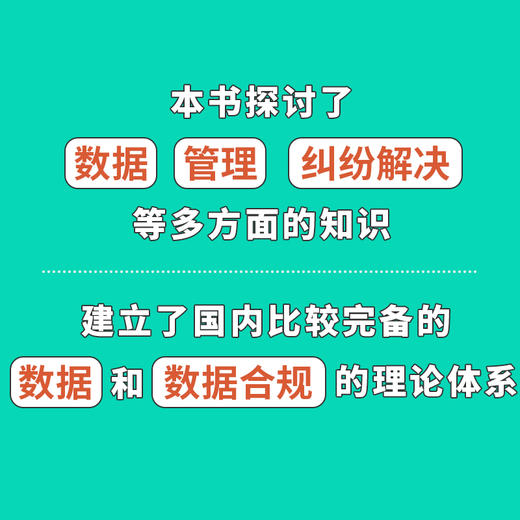 数据合规3.0 基础理论与场景指引 数据* 数据流通 数据跨境 管理者合规师HR法务律师参考用书 企业合规管理系列丛书 商品图3