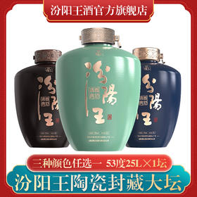 汾阳王 封藏大坛 53度25L*1坛 清香型特级白酒纯粮酿造
