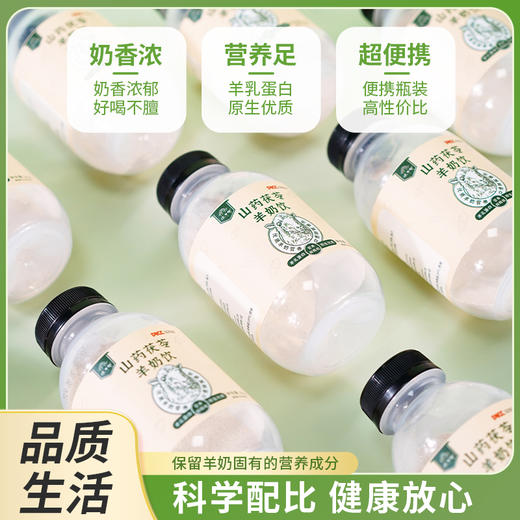 怀府街 | 山药茯苓羊奶 羊乳蛋白营养好吸收口感细腻香浓30g*10瓶 商品图2