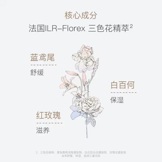 4楼Eubelle欧蓓 Ellebebe嗳乐蓓贝小云朵面霜50g（旋盖款） 保湿滋润 吊牌价：320-640元 活动价：259-399元 商品图3