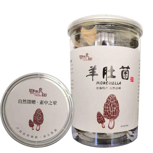 【企业】鄂西良田 羊肚菌富硒羊肚菌 商品图1