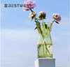简约不规则透明水培花瓶---特价小钱袋 商品缩略图0