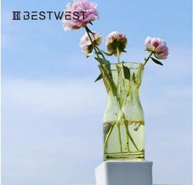 简约不规则透明水培花瓶---特价小钱袋