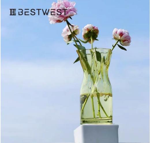 简约不规则透明水培花瓶---特价小钱袋 商品图0